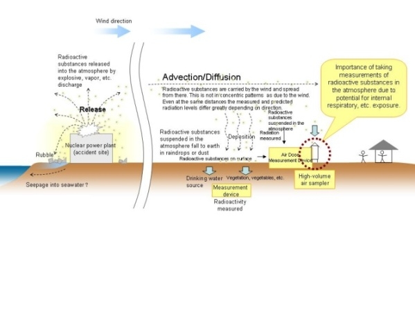 Environmental dynamics of radioactive substances released from nuclear power plant