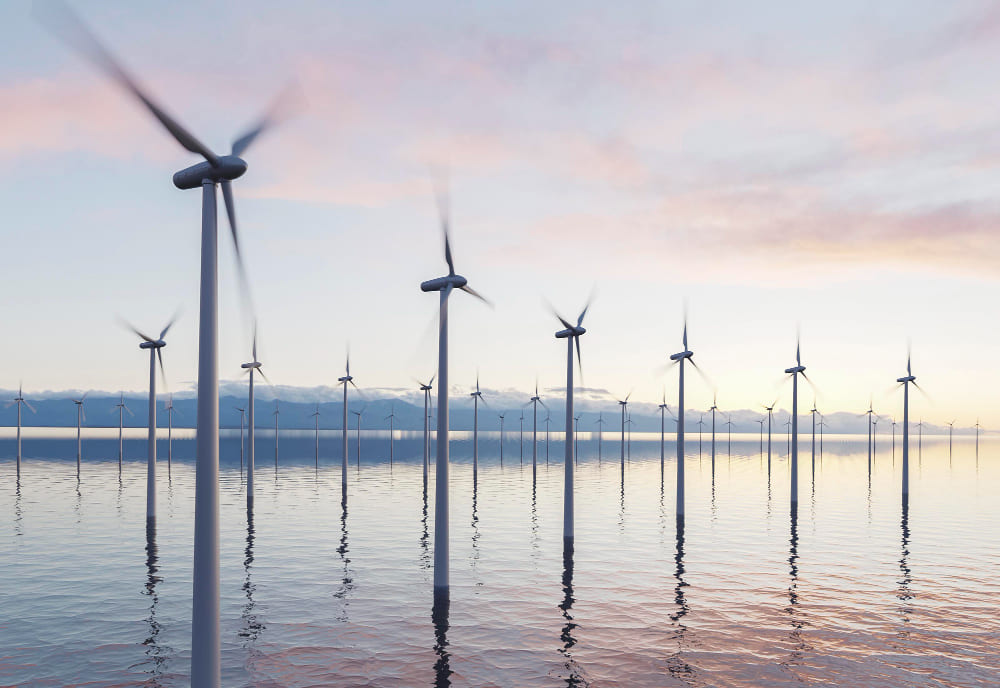 A large number of windmills are installed offshore, and wind power generation is being carried out.