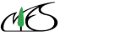 NIES English Logo