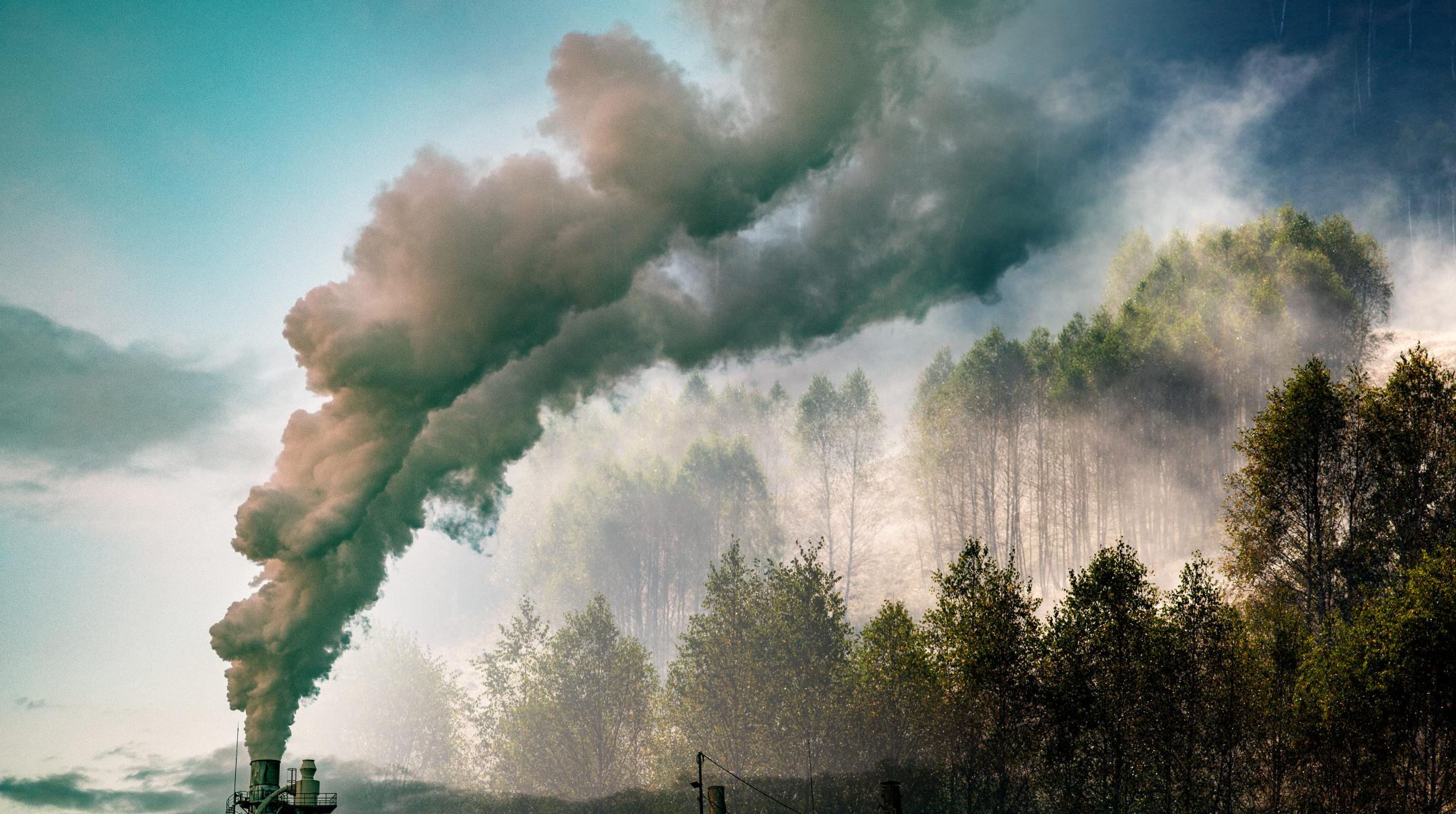 Grey smoke rising from the field covers forests, leading to global warming and climate change