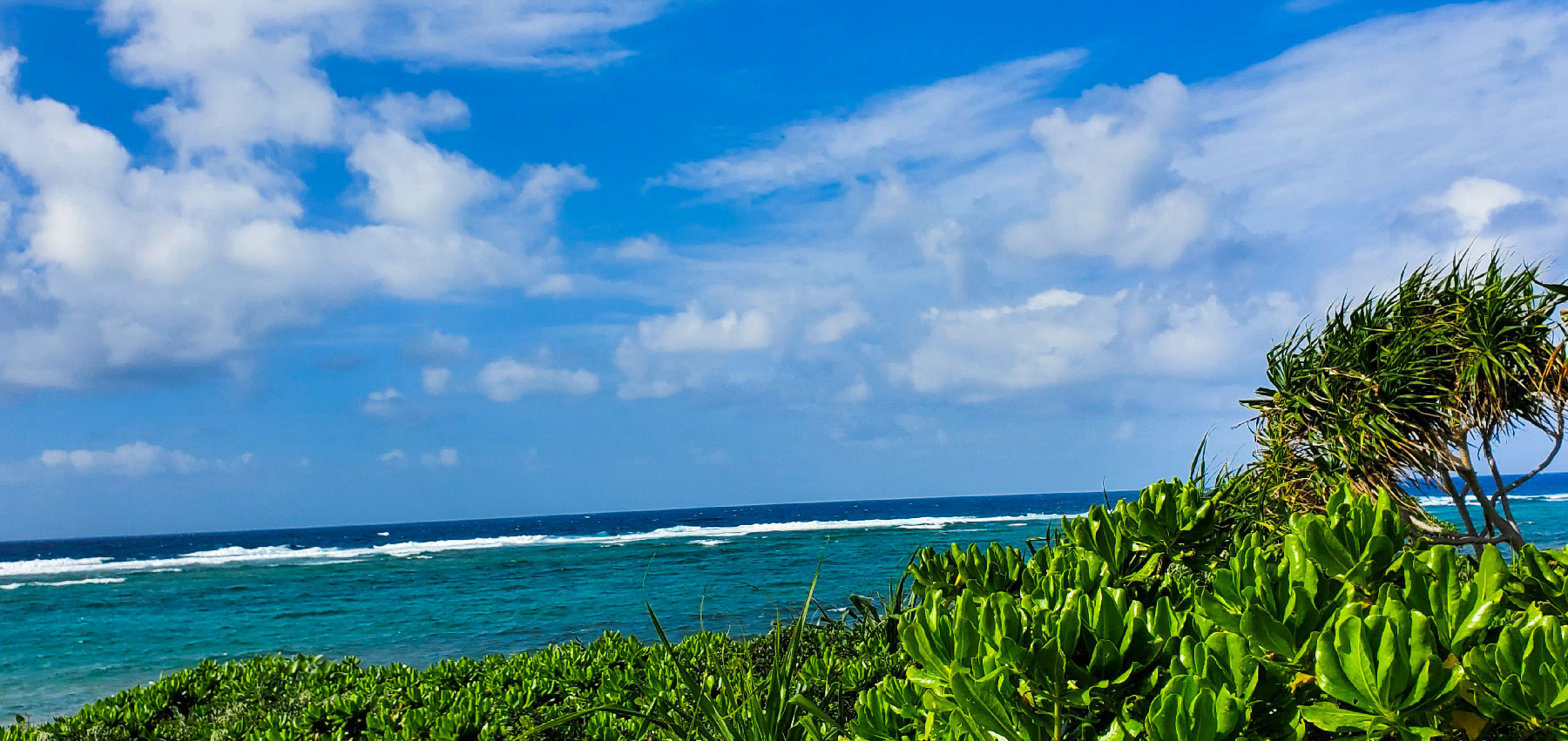 waves over coral reef