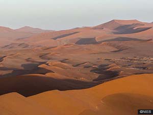 Observations in Gobabeb, Namibia