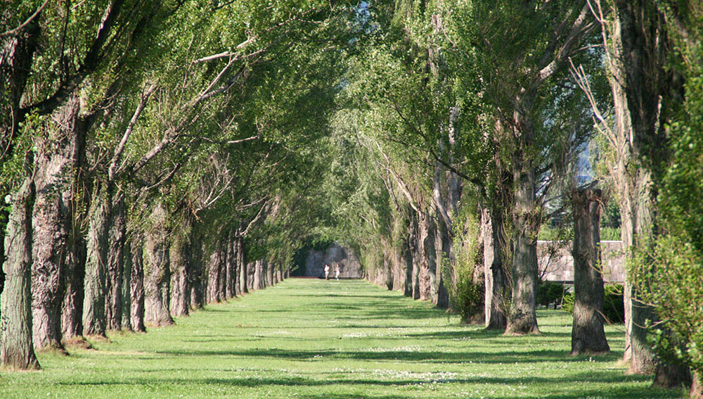 Maeda Forest Park