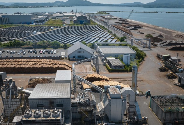 ごみを資源に—プラスチックの未来を変えるLCCNの挑戦