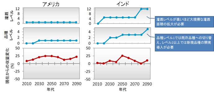 図1. アメリカとインドにおける、現在（1990年代）のコムギ収量を維持するための適応経路と収量変化率の推移の例。