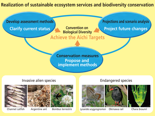 Impacts of human activities