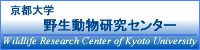 京都大学野生動物研究センターウェブサイトへのリンク