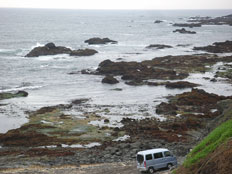 Cape Erimo, Erimo 