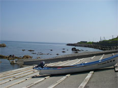 Bikuni, Shakotan