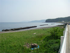Chiwase Shore, Shimamaki