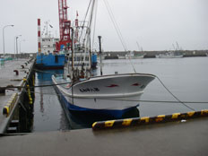 Saruru Port, Mombetsu