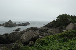 Tanesashi Shore, Hachinohe