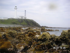 Shiriyazaki, Shimokita Peninsula