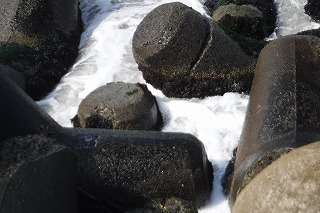 Ichikawa, Hachinohe