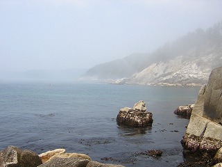 Kinkasan Island(higashinosaki), Ishinomaki
