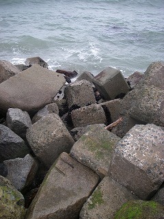 Tsurishihama Fishing-Port, Soma