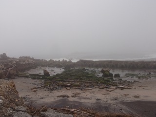 Odaka river, Minamisoma 