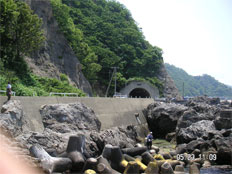 Maoroshi, Murakami