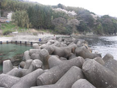 Mitate, Sado