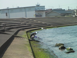 Namerikawa