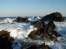 Oshima Island, Sakai