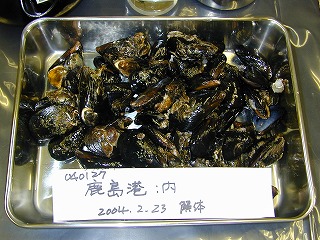 Kashima Port, Kamisu