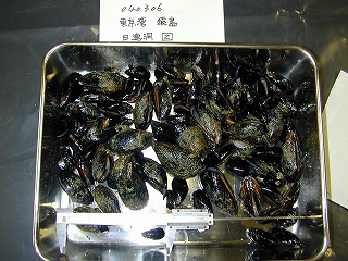 The front from Nichirendo, Sarushima, Yokosuka