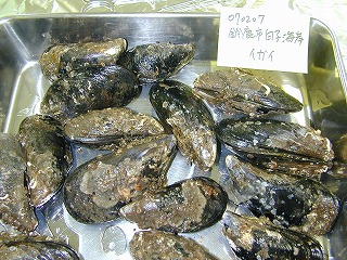 鎭 q(낱)`