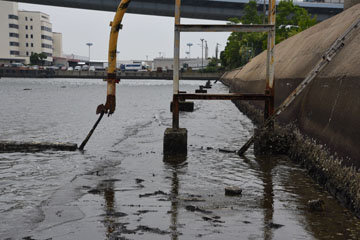 Maishima, Osaka Bay