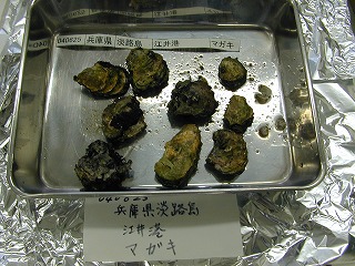 Ei Port, Awaji Island