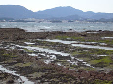 Ezura, Shirahama