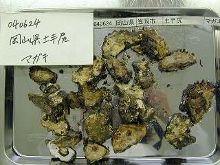 Dotejiri, Kasaoka
