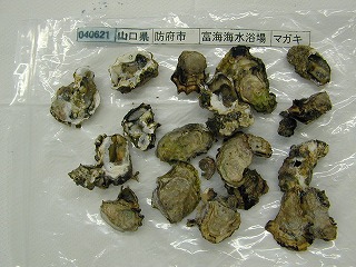 Tonomi Beach, Hofu
