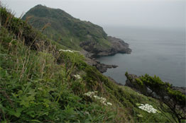 Cape Kawashiri, Nagato