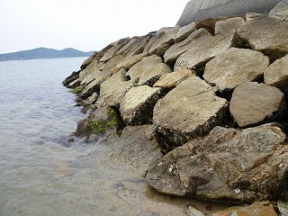Aio Fishing-Port, Yamaguchi