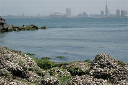 Nokonoshima, Fukuoka