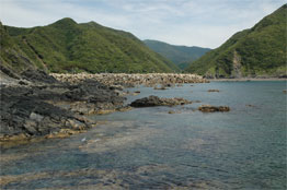 Kotsuki, Tsushima