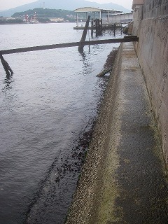 Dokai Bay, Kitakyusyu