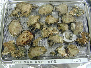 Yorifunebana, Saisai