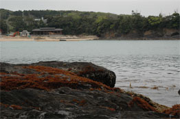 Miuda, Tsushima