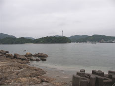 Totoro, Nobeoka