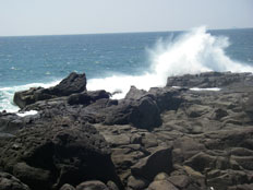 Nagasakihana, Nagashima
