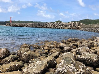 Kumano Fishing-Port, Tanegashima Island