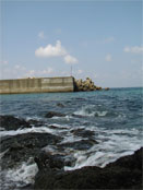 Kaminofuruta, Tanegashima Island