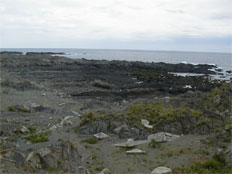 Mugio, Yakushima Island