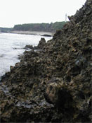 Okinoerabujima Island