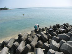 Cape kyan, Itoman