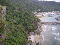 Ginama Fishing-Port, Kunigami