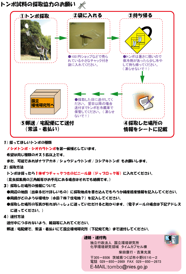 ̎Et@