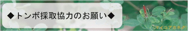 g{̎拦͂̂肢